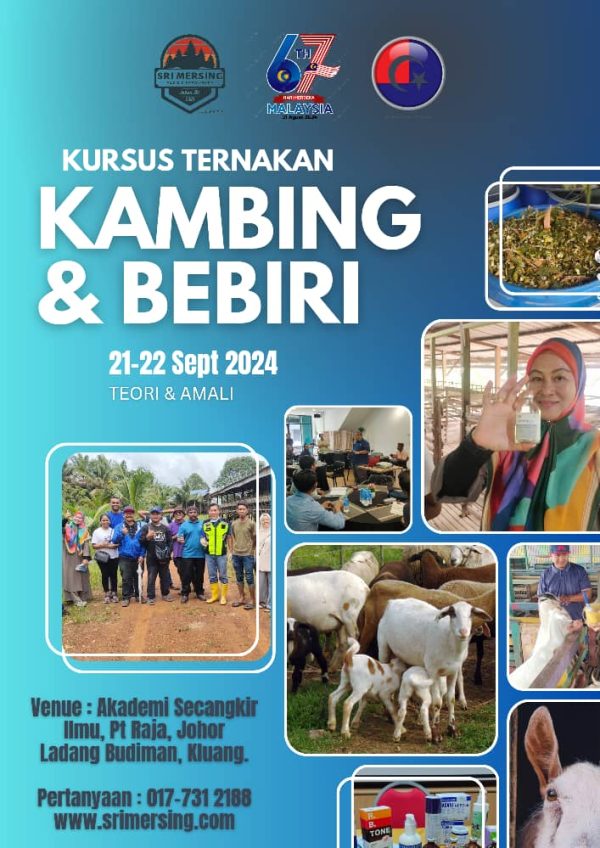 KURSUS TERNAKAN KAMBING & BEBIRI